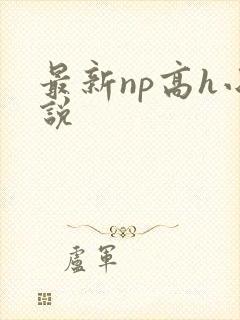 最新np高h小说