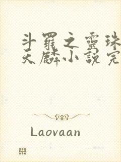 斗罗之灵珠神剑天麟小说完整版下载txt