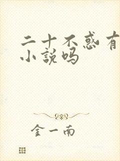 二十不惑有原著小说吗