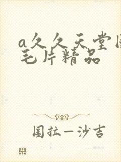 a久久天堂国产毛片精品