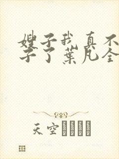 嫂子我真不是傻子了叶凡全文