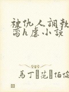 被仇人调教成禁脔h虐小说