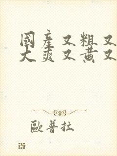 国产又粗又猛又大爽又黄又硬视频