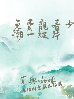 免费观看少妇高潮一级片