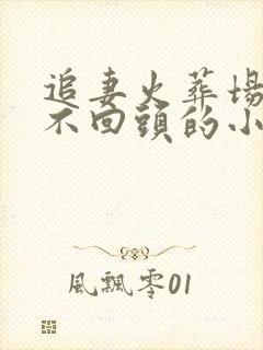 追妻火葬场女主不回头的小说