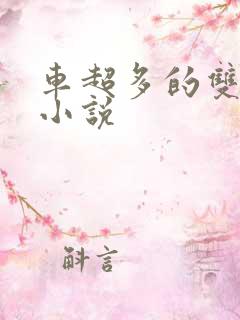 车超多的双男主小说