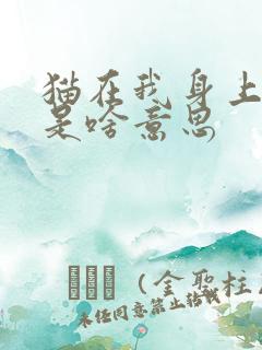 猫在我身上踩奶是啥意思