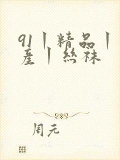 91丨精品丨国产丨丝袜