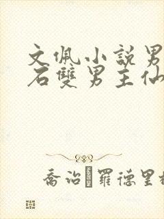 文佩小说男主姓石双男主仙侠bl小说