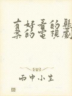 有好看的悬疑破案的电视剧