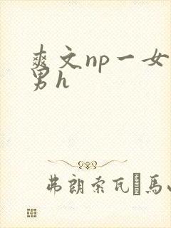 爽文np一女多男h