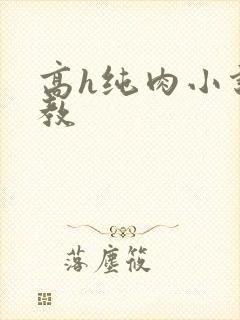 高h纯肉小说调教