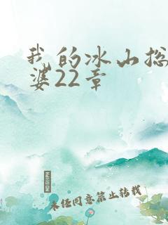 我的冰山总裁老婆22章