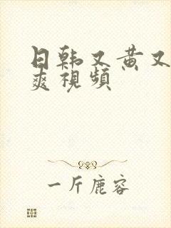 日韩又黄又色又爽视频