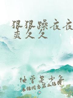 狠狠躁夜夜躁人爽久久