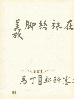 美脚丝袜在线播放