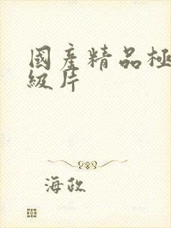 国产精品极品一级片