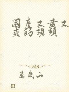 国产又黄又色又爽的视频