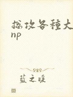 总攻各种大胸奶np