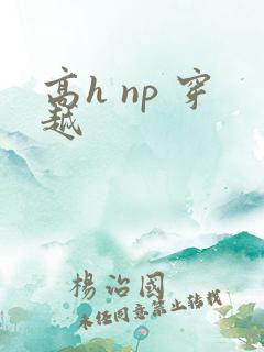 高h np 穿越