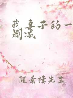 我妻子的一切无删减