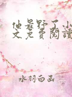 他最野了小说全文免费阅读无弹窗