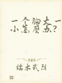 一个胸大一个胸小怎么办?