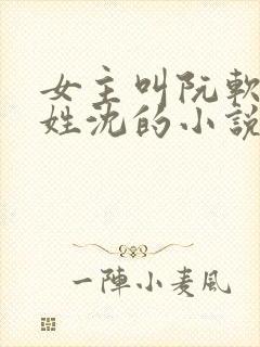 女主叫阮软男主姓沈的小说