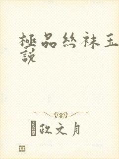 极品丝袜玉足小说