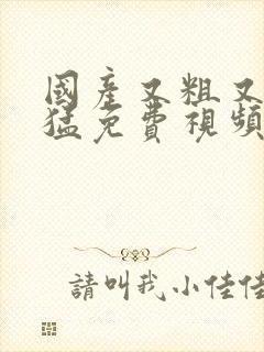 国产又粗又硬又猛免费视频