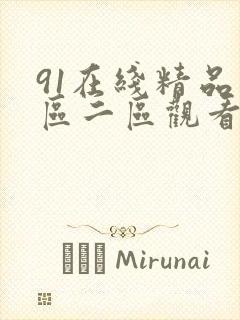 91在线精品一区二区观看