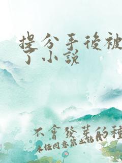 提分手后被囚禁了小说