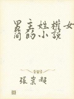 男主姓权女主姓简的小说