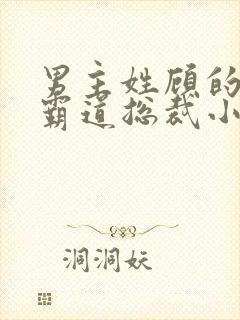 男主姓顾的所有霸道总裁小说