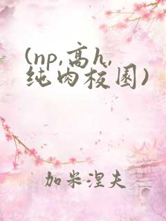 (np,高h,纯肉校园)