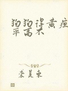 狗狗得黄疸治愈率高不