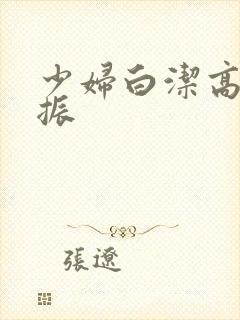 少妇白洁高义赵振