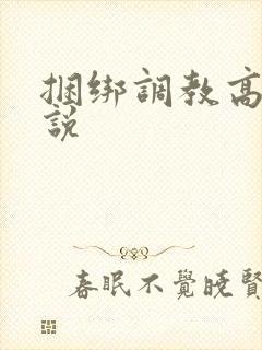 捆绑调教高潮小说