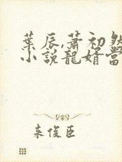 叶辰,萧初然的小说龙婿当道