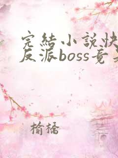 完结小说快穿:反派boss竟是我自己