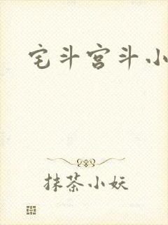 宅斗宫斗小说