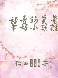 好看的质量高文笔好小说推荐