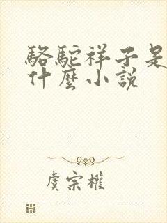 骆驼祥子是一本什么小说