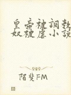 皇帝被调教成贱奴被虐小说