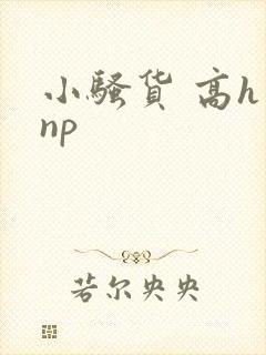 小骚货 高h np