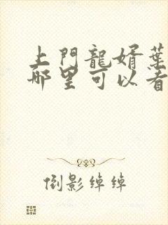 上门龙婿叶辰在哪里可以看