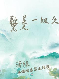 欧美一级久久久黑人