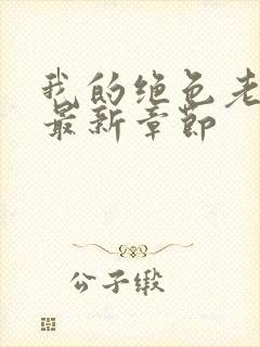 我的绝色老板娘最新章节