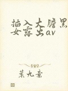 插入大胆黑丝熟女露出av