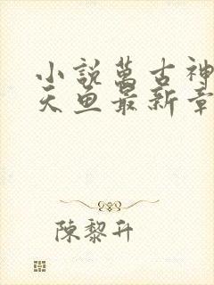 小说万古神帝飞天鱼最新章节列表列表